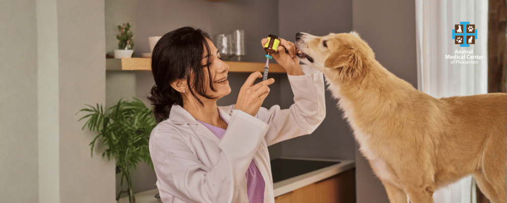 Sundays from 1 – 3pm | $20 vaccinations