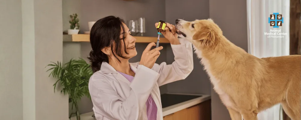Saturdays & Sundays
from 1–3 PM | $24 vaccinations