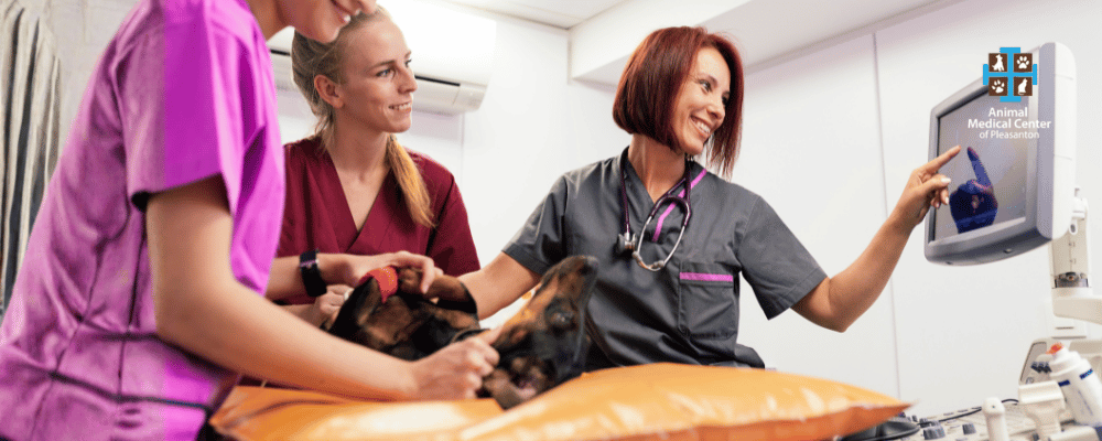 50% Off Your First Exam