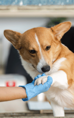 50% Off Your First Exam