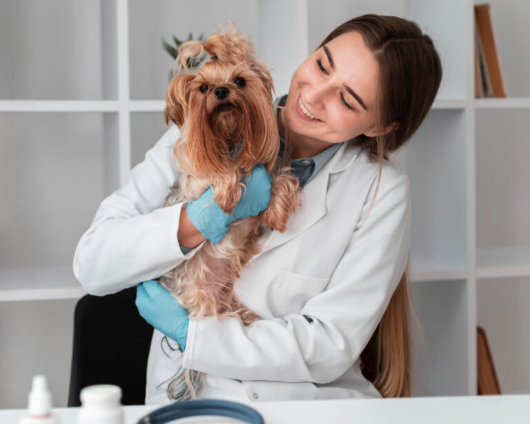 Veterinarian in a lab coat holding a small dog at Animal Medical Center of Pleasanton.