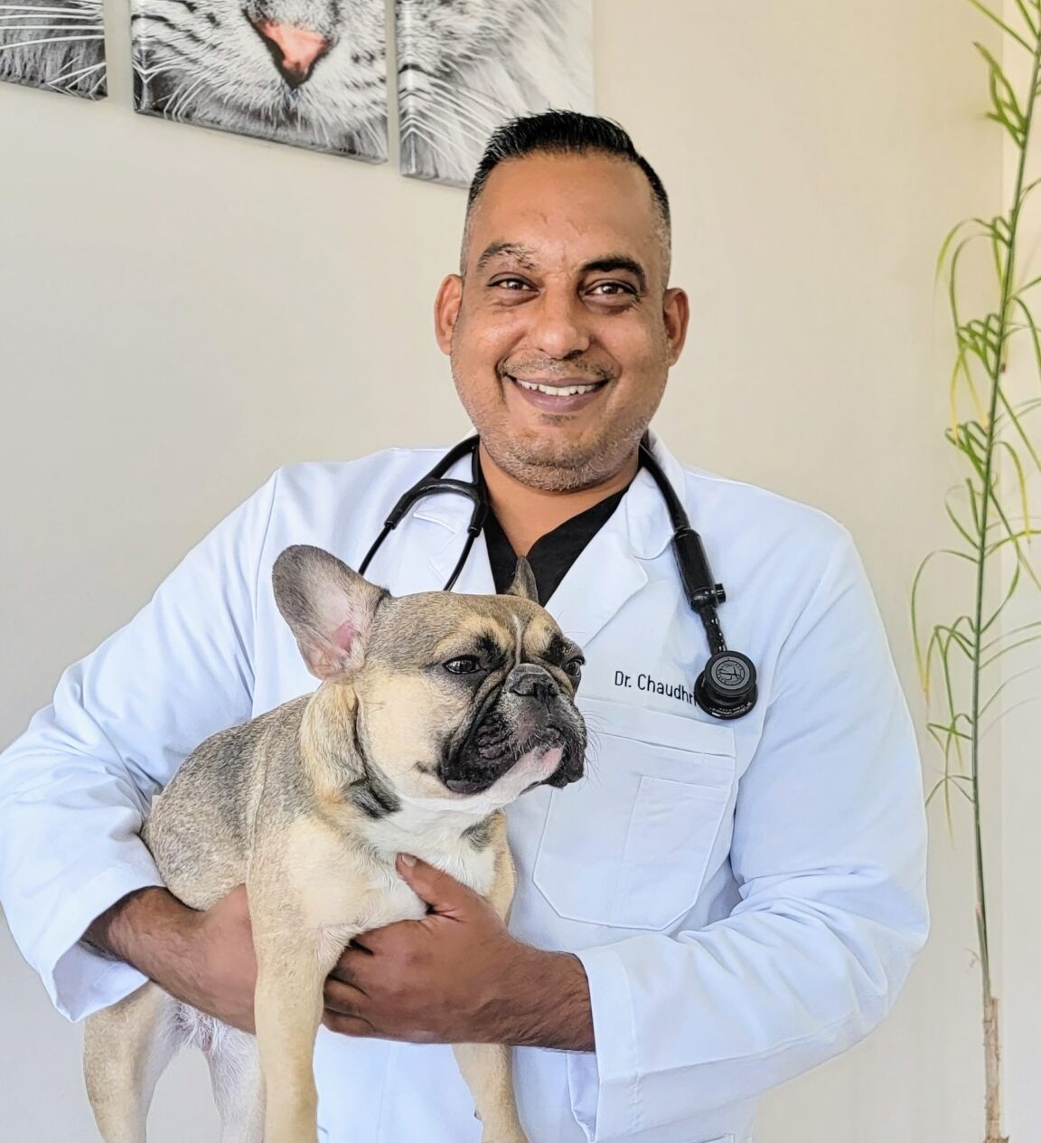 Happy dog patient at Animal Medical Center of Pleasanton