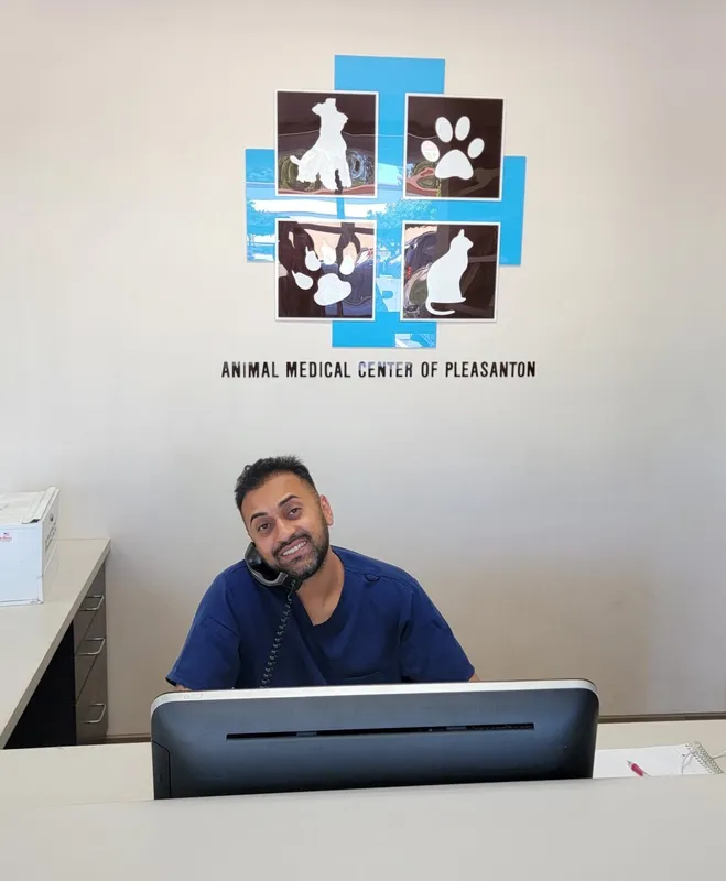 Veterinary receptionist at Animal Medical Center of Pleasanton smiling at the reception desk.