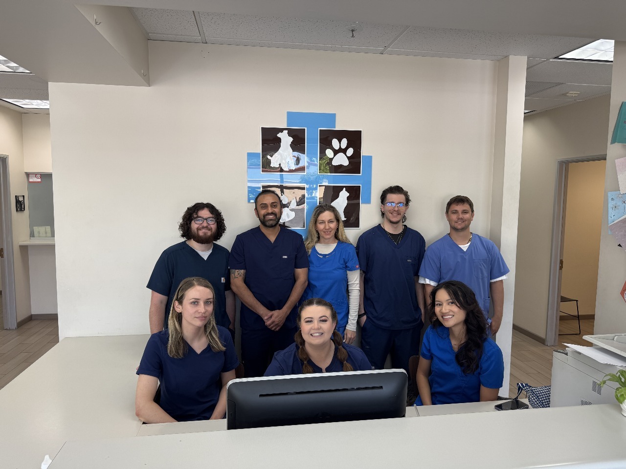 Veterinary examination at Animal Medical Center of Pleasanton