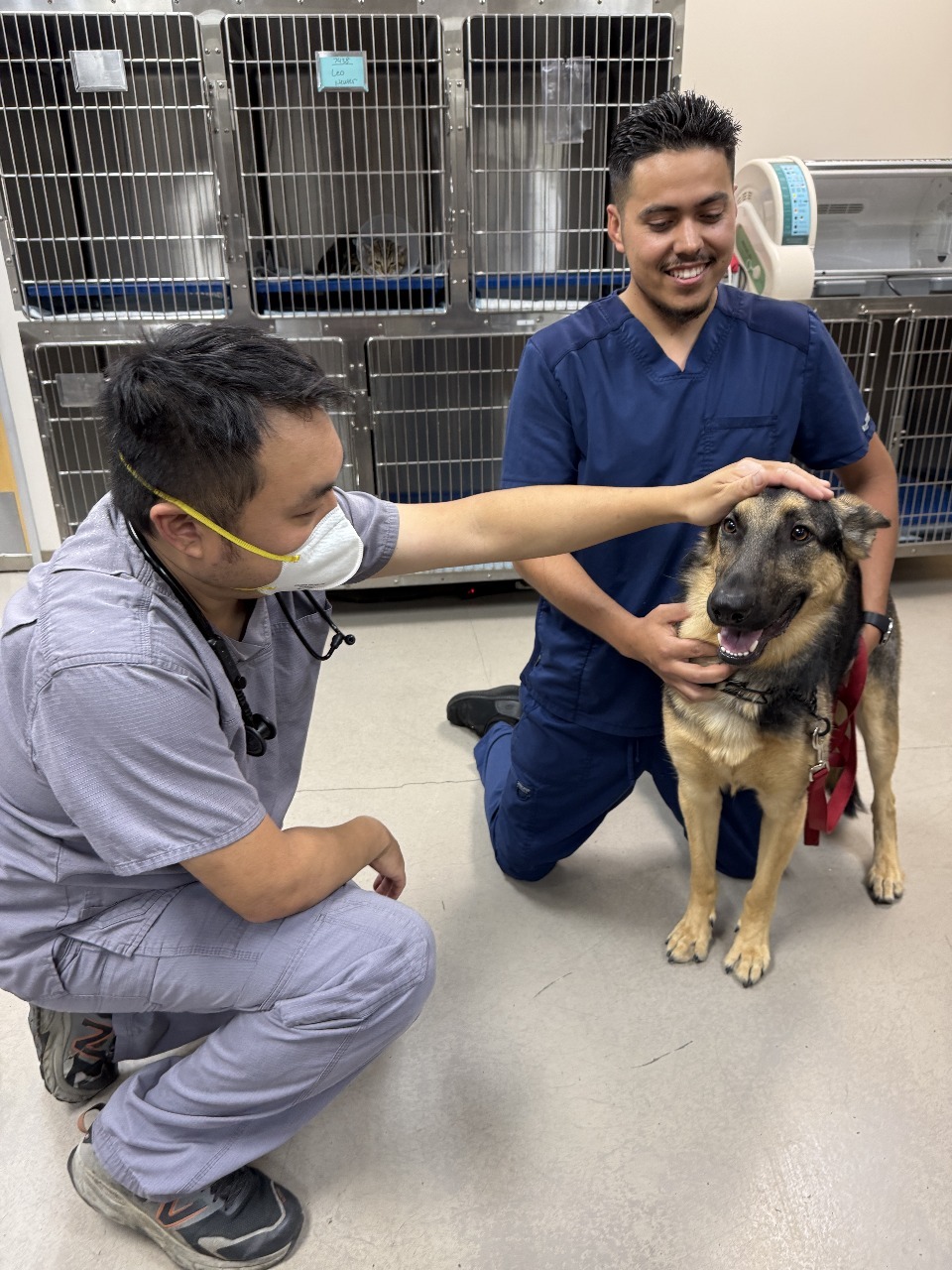 Clinic staff at Animal Medical Center of Pleasanton
