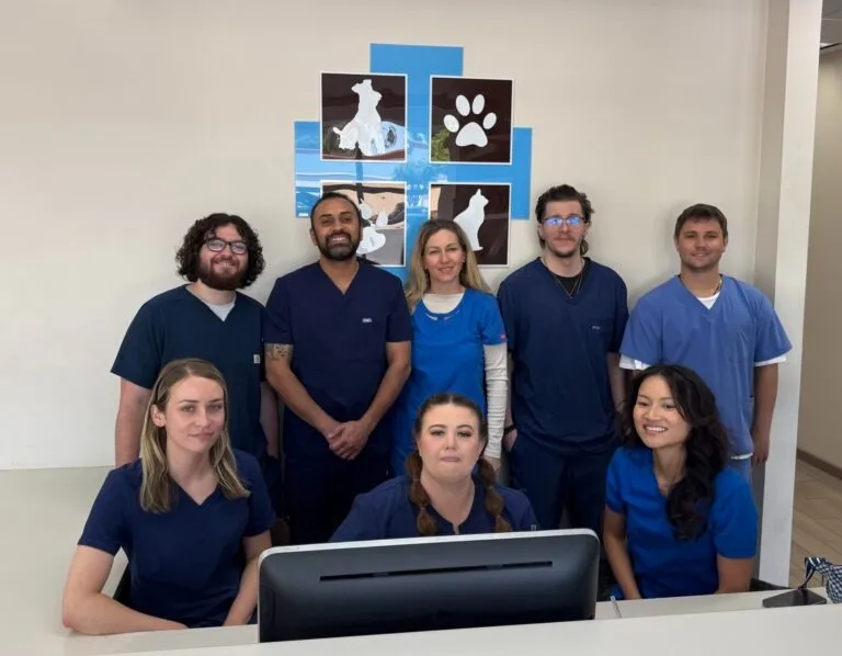 Veterinary team at Animal Medical Center of Pleasanton in scrubs smiling at reception.