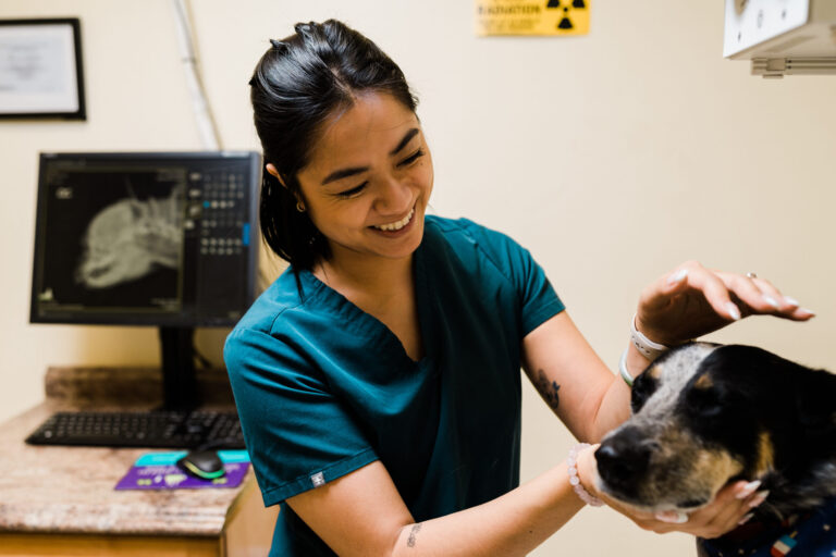 Veterinary professional examining a dog in clinic, with x-ray monitor at Animal Medical Center of Pleasanton.